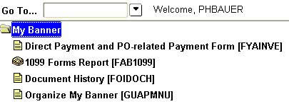 Fis User Manual Under Construction